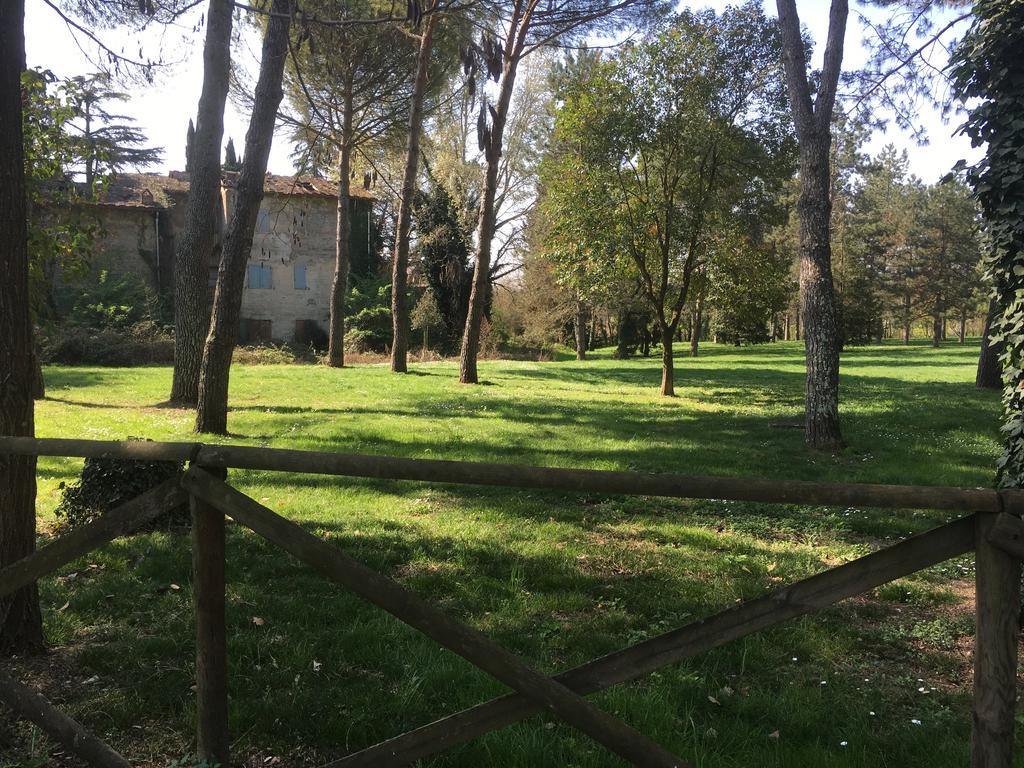 Old Town In The Green: Federico'S Apartment. Флоренция Экстерьер фото