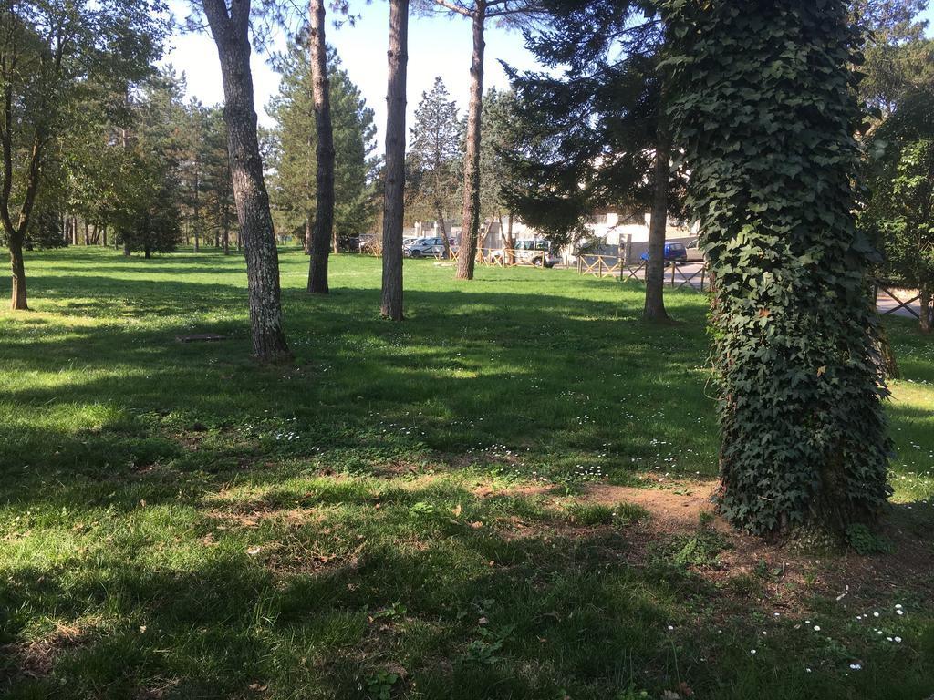 Old Town In The Green: Federico'S Apartment. Флоренция Экстерьер фото
